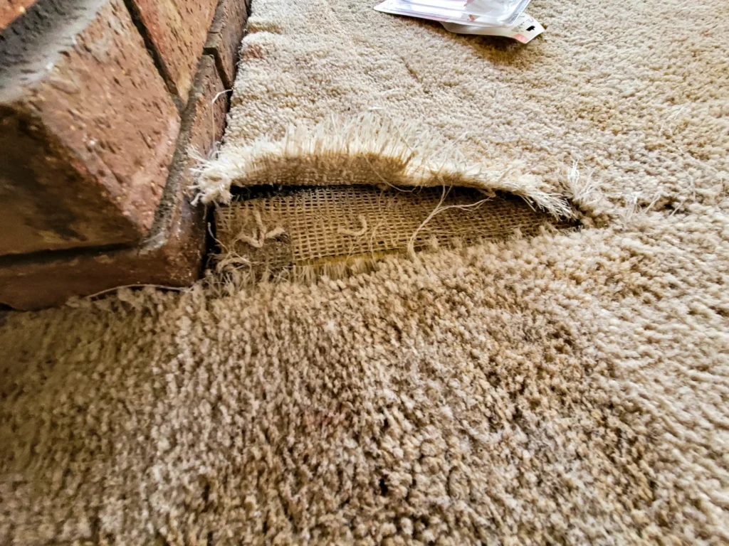 Carpet torn up needing repaired.